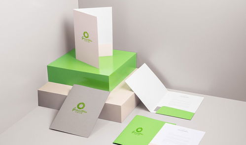 專業廣告設計，助力品牌騰飛——金妻玉寶杰出設計服務